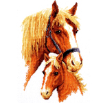 Birds, Animal, Fish etc Animals