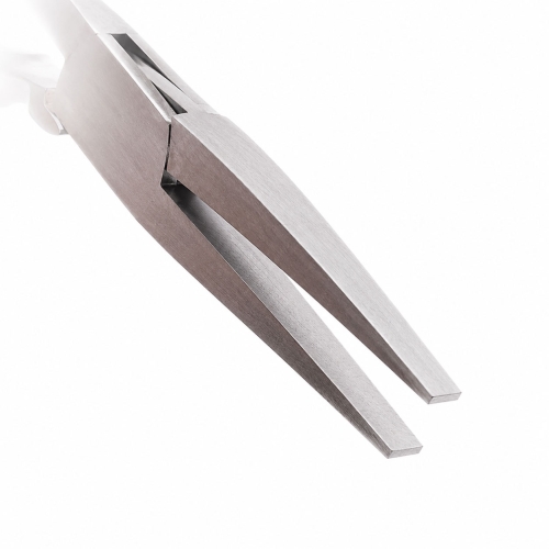 Lattapihdit (Flat Nose)